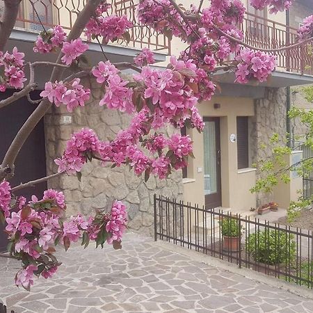 La Casina Di Nonna Giulia Apartment Castiglione d'Orcia Bagian luar foto