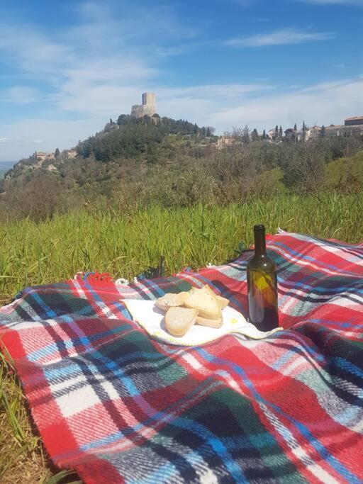 La Casina Di Nonna Giulia Apartment Castiglione d'Orcia Bagian luar foto