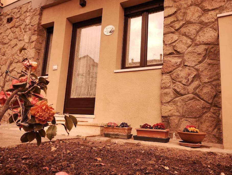 La Casina Di Nonna Giulia Apartment Castiglione d'Orcia Bagian luar foto
