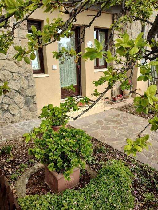 La Casina Di Nonna Giulia Apartment Castiglione d'Orcia Bagian luar foto