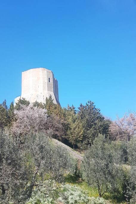 La Casina Di Nonna Giulia Apartment Castiglione d'Orcia Bagian luar foto