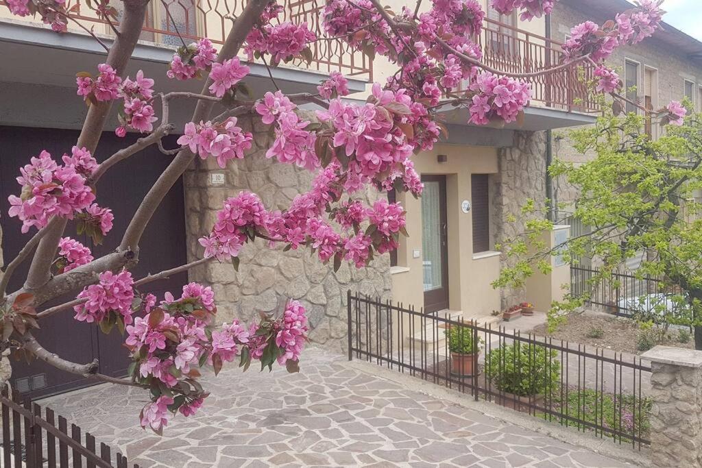 La Casina Di Nonna Giulia Apartment Castiglione d'Orcia Bagian luar foto